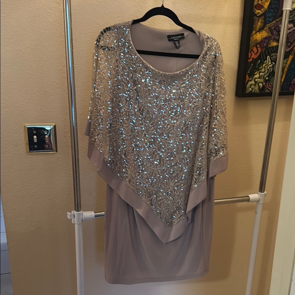 Elegant Sequin Overlay Dress
